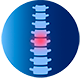 espalda y columna